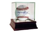 500 Home Run MLB Baseball (8 Signatures)
