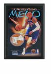 Carmelo Anthony New York Knicks 4"x6" Net Plaque (Steiner Sports COA)