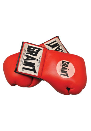 Francois Botha Fight-Worn Gloves (Sourced from Sterling McPherson)